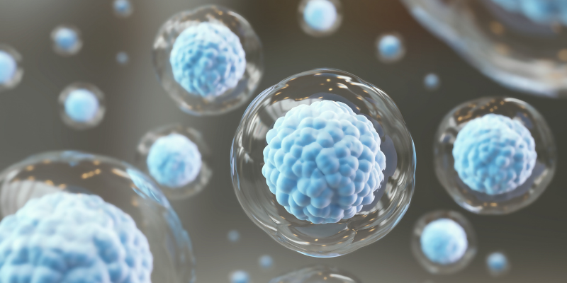 Shutterstock Cells - Est-ce que les thérapies à base de cellules souches sont-elles prêtes pour les essais cliniques sur la maladie de Parkinson ?